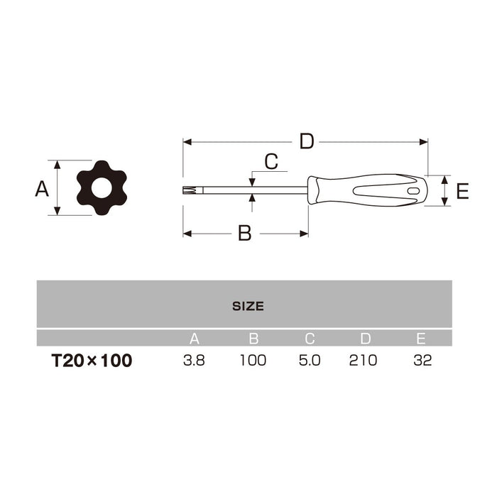 Anex 螺絲起子六角形凸角 T20X100-Anex No.6300 Anex 品牌工具