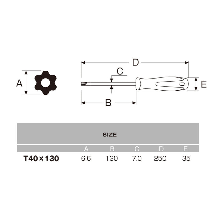 Anex T40X130 驅動器六角凸角，帶孔 No.6300