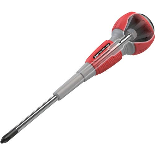 Anex Driver Tool with Striking Handle 2x100 No.7760