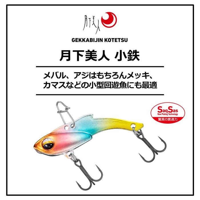 Daiwa Lure 20 Tsukishita Bijin Small Iron 3G Shirasu Plated Fishing Lure