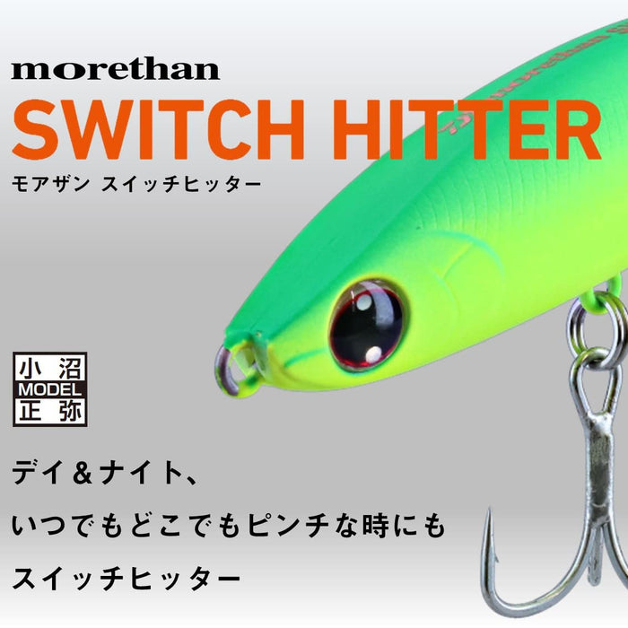 Daiwa Morethan Switch Hitter 85S 路亞 – 非常適合鹹水釣魚