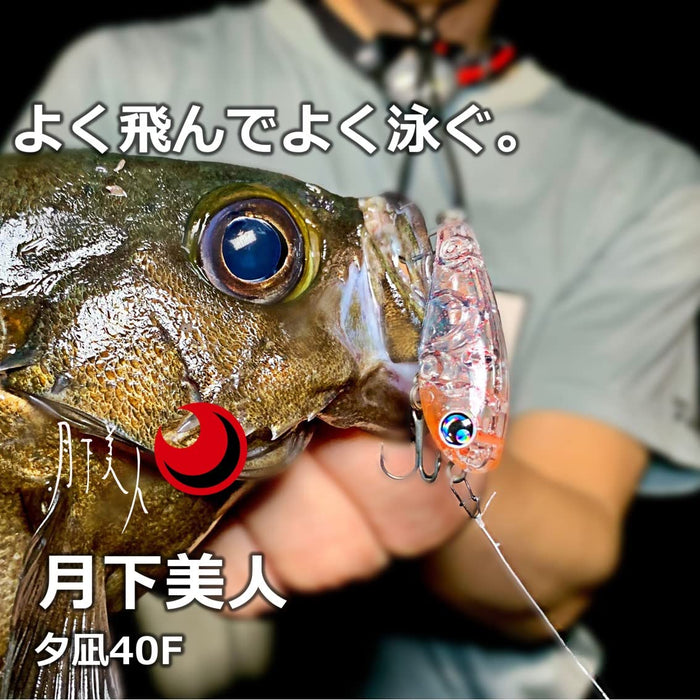 Daiwa Moonflower Yunagi 40F Holo-Yoi Shirasu 岩钓/阿京路亚诱饵