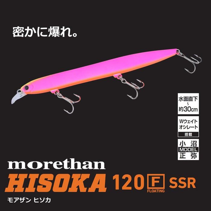 Daiwa 海鲈鱼诱饵 Morethan Hisoka 120F SSR Adel Chartback Blackberry