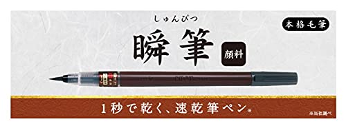 Pilot 中号快干黑色毛笔 正品颜料 - Svsg80Fdmb