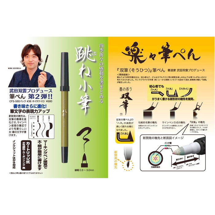 白金鋼筆武田創雲老竹色雙毛筆潑墨小裝 36 支