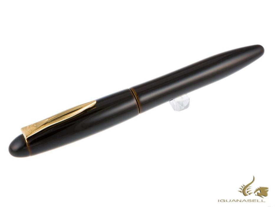 Platinum Izumo Tame Nuri Loquat 18K 金中号钢笔 Piz-55000#30