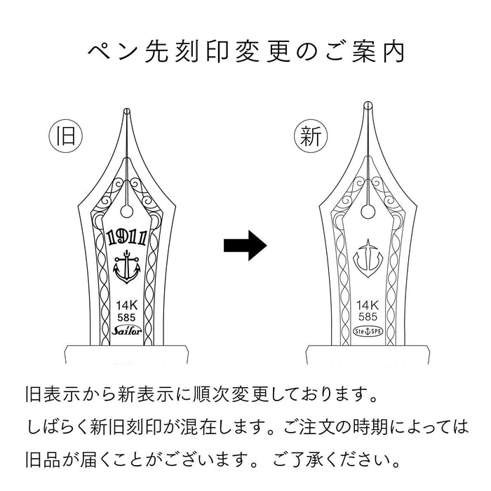 Sailor 钢笔利润灯带银色装饰和变焦黑色型号 11-1039-720