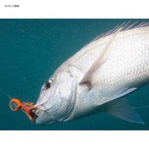 Shimano Engetsu Bakubaku 拖車金屬夾具 Ew-204R 5 件 Skyfish Chart 發光