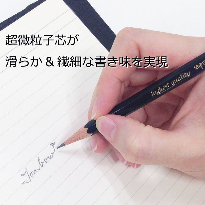 Tombow Mono 100 铅笔套装 高品质 4B 级 12 支装