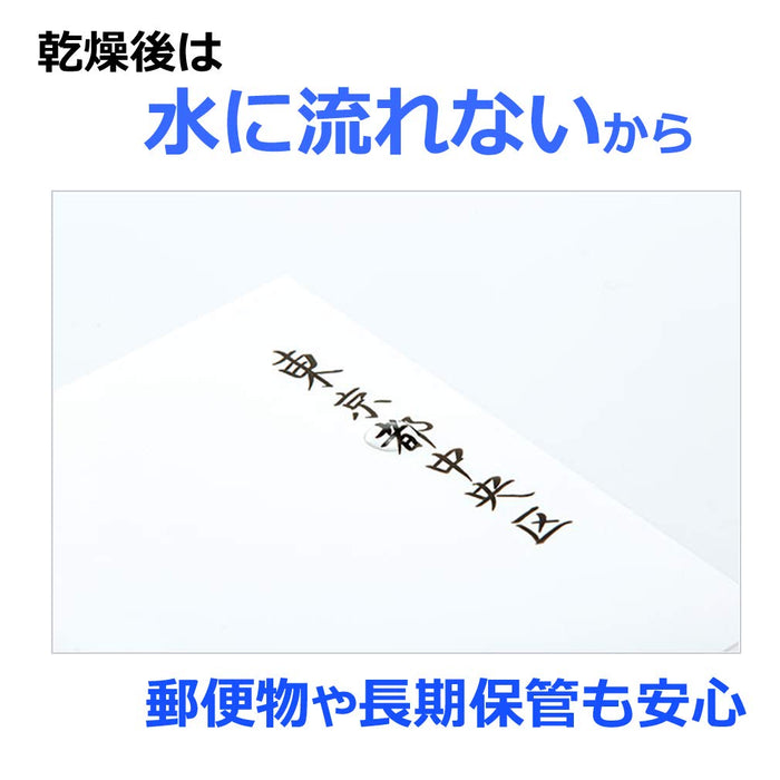 Tombow Fudenosuke 水性簽字筆 10 色套裝 精心定制