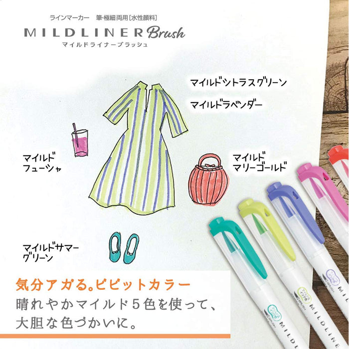 Zebra Mild Liner 高光腮红 夏日绿 10 件套