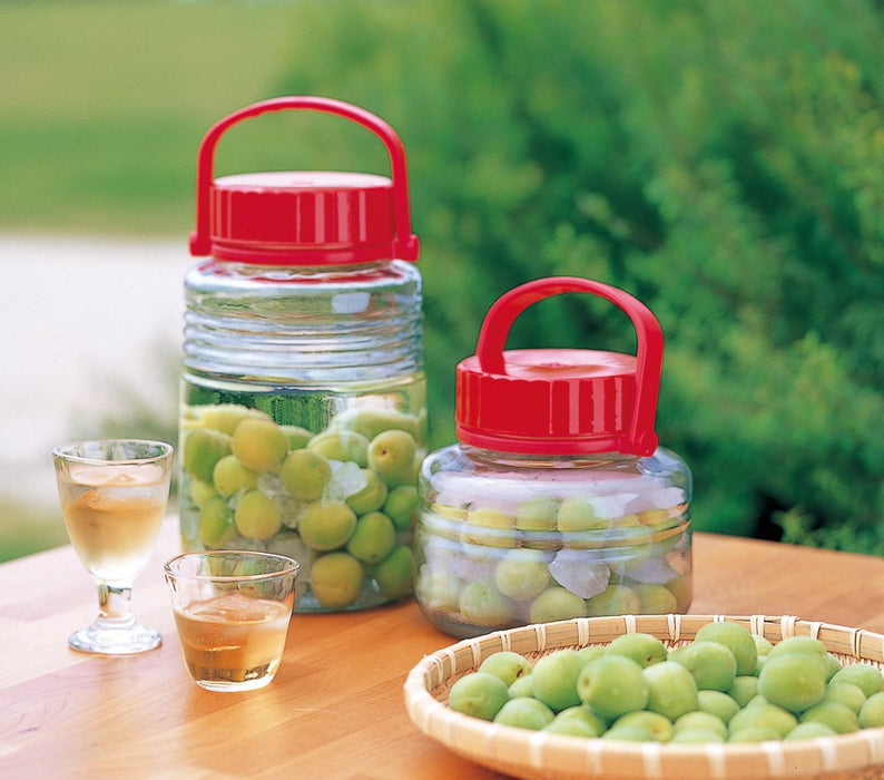 Aderia Japan Plum Wine Bottle Storage Container - 1L Glass Bottle for Fruit Wine