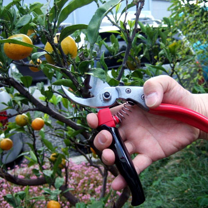 Ars Corporation Pruning Shears Vs-8R