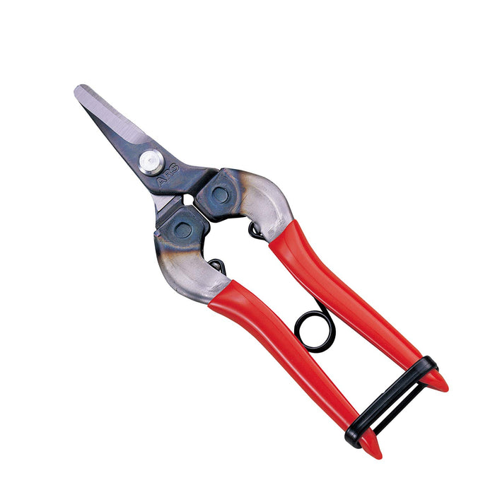 Ars Corporation Fruit Picking Shears 310 (Boxed)