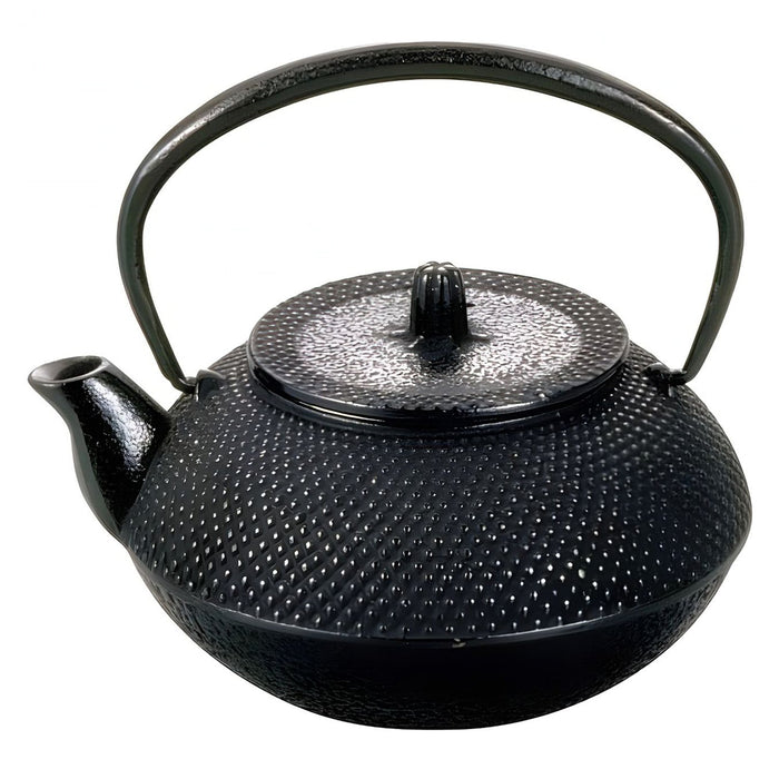 Asahi Cast Iron Tetsukyusu Teapot Arare 500ml - Authentic Japanese Tea Brewing Essential