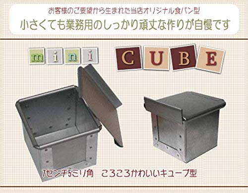 Asai Store Japan Altite Bread Mold Mini Cube with Silver Lid