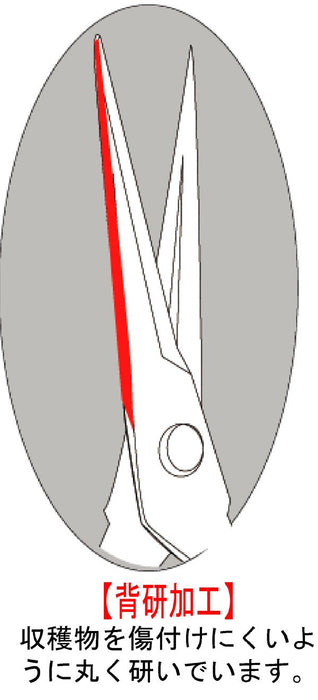 Chikamasa T-550 Bud Cutting Scissors