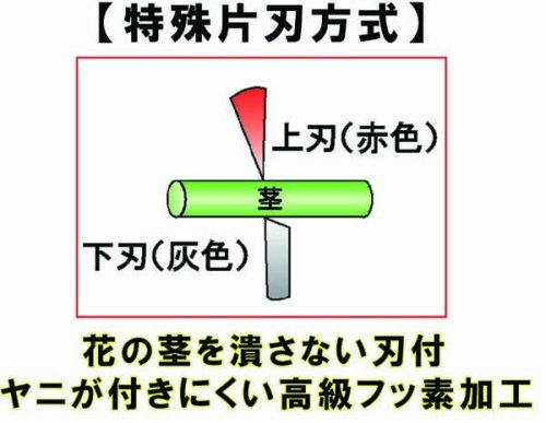 Chikamasa MF-8000P Ultra Rosso 花剪刀帶帽