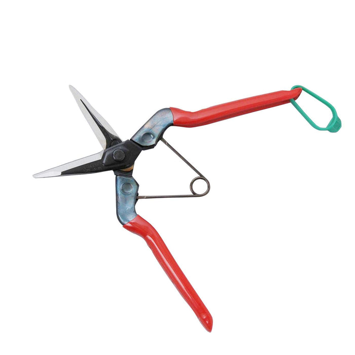 Chikamasa T-601K Large Fruit Thinning Shears 195mm