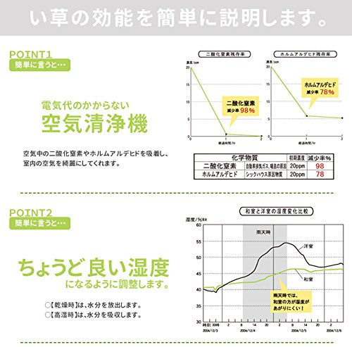 Ikehiko Corp 日本嬰兒枕頭 - 藍色，30X20 厘米