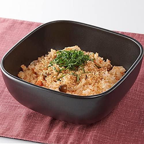 Hario 电饭锅 2C 黑色 可放入微波炉 日本 Go-2B