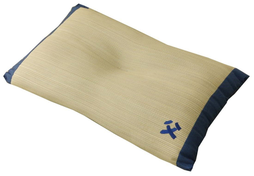 Ikehiko Corp Japan Made Rush Pillow - Hyper Deodorizing Man's Pillow