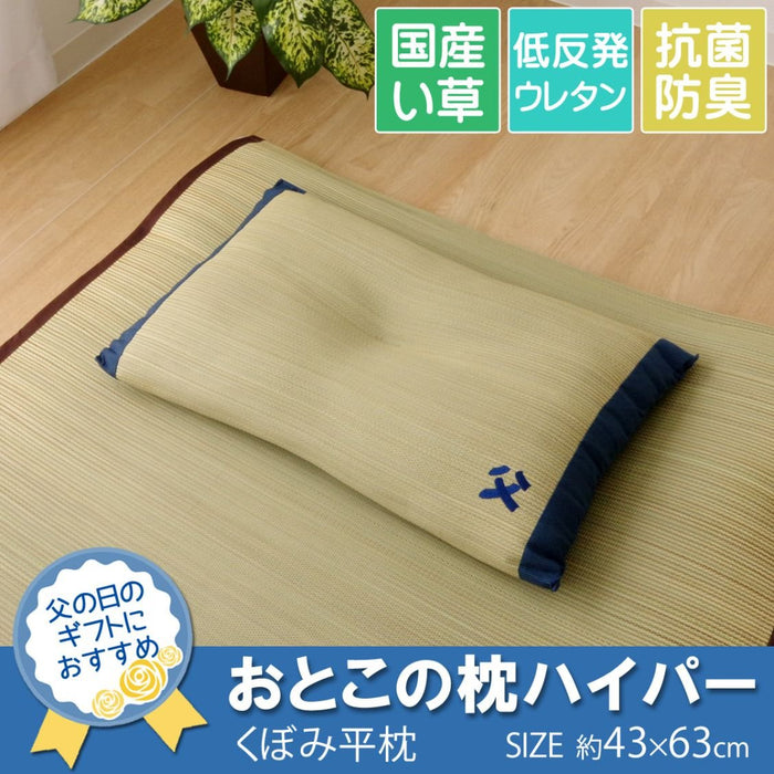 Ikehiko Corp Japan Made Rush Pillow - Hyper Deodorizing Man's Pillow