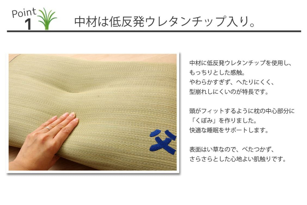 Ikehiko Corp Japan Made Rush Pillow - Hyper Deodorizing Man's Pillow