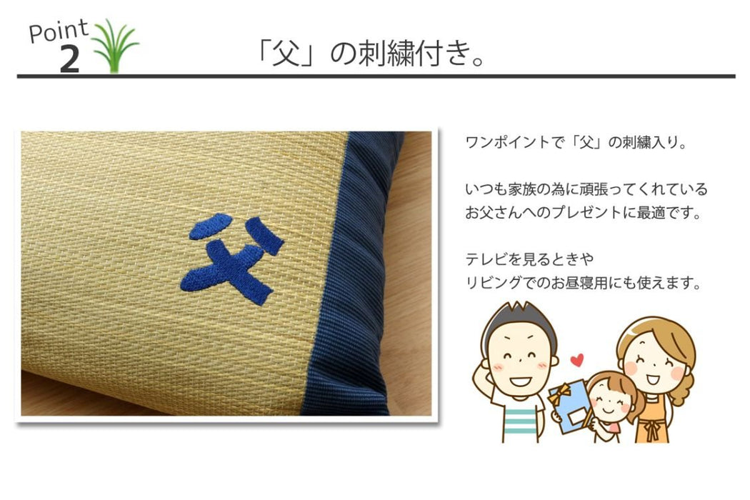 Ikehiko Corp Japan Made Rush Pillow - Hyper Deodorizing Man's Pillow