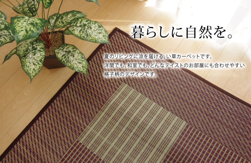 Ikehiko Corp Japan Rug Carpet Rush Tatami Mat Square F Light Blue - User-Friendly Flooring Solution