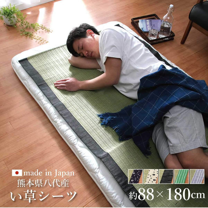 Ikehiko Corp Gray Hiba Rug Rush Sheets 88X180Cm Japan #6508009