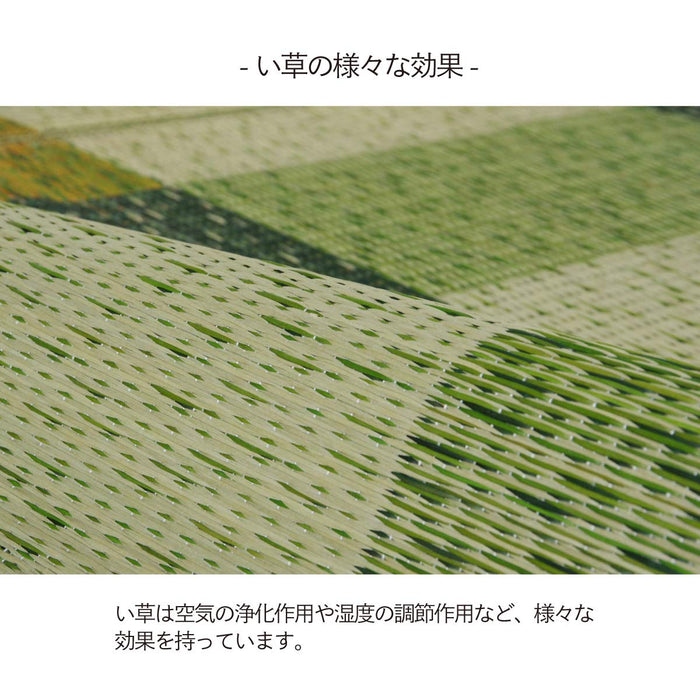 Ikehiko Corp Japan Green Rectangular Rush Rug Deodorizer