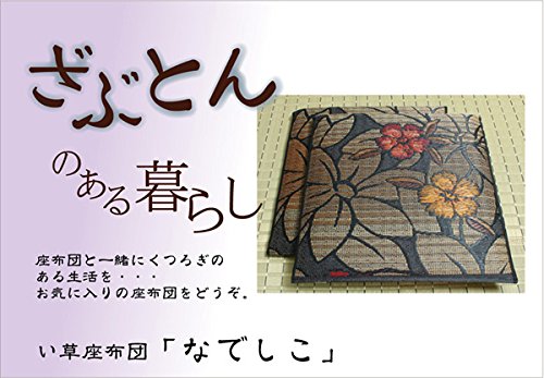 Ikehiko Corp 日本 Rush Zabuton Nadeshiko 2 件套 蓝色 60x60cm