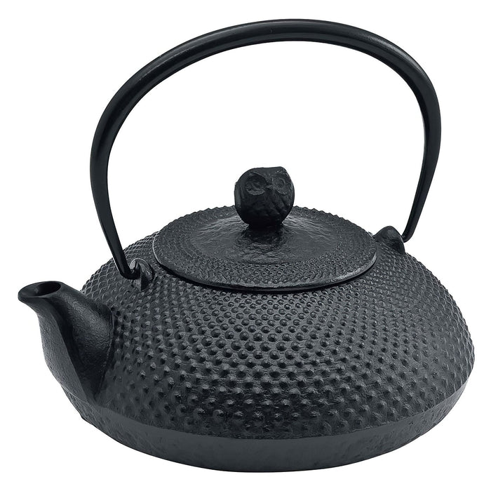 Ikenaga Nambu Cast Iron Tetsubin Kettle - Premium Houju