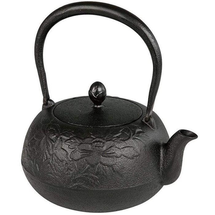 Ikenaga Nambu Tetsubin Zuikou Black - Premium Cast Iron Teapot