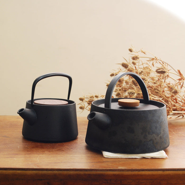 Ikenaga Tetu Nambu Cast Iron Teapot - Authentic Tetsukyusu for Tea Lovers