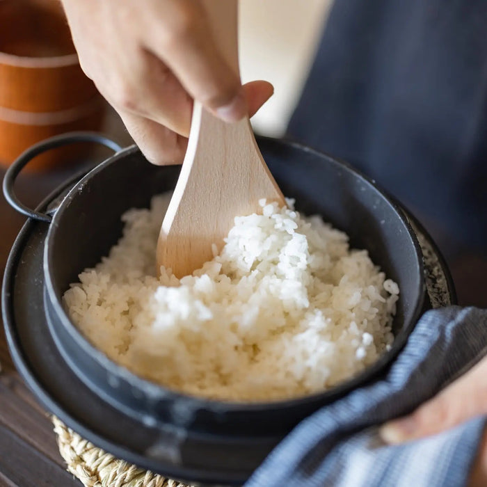 Iwachu 日本铸铁电饭煲砂锅 - 正宗三合一烹饪锅