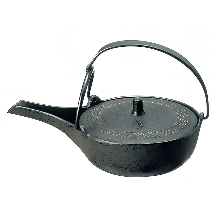 Iwachu Nambu Cast Iron Atsukan Warming Bottle - Premium Heat Retention Solution