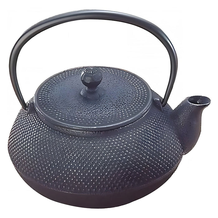 Iwachu Nambu Cast Iron Japanese Teapot Arare 300Ml - Authentic Traditional Tea Brewer