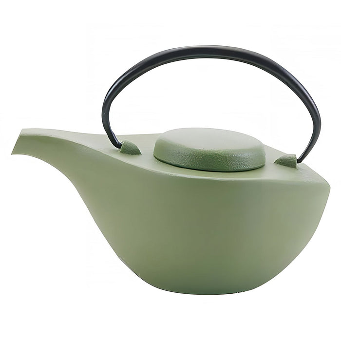 Iwachu Nambu Cast Iron Tetsukyusu Teapot - Hikifune Green Authentic Japanese Tea Brewing Essential