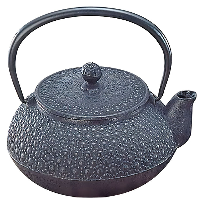 Iwachu Nambu Cast Iron Teapot Kikko 300ml Authentic Japanese Tea Brewing Essential