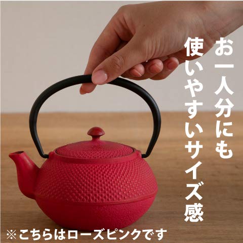 Ren Of Japan Nanbu Tekki Iron Bottle Teapot Arale Round Shape with Tea Strainer Enamel Finish Arare Small