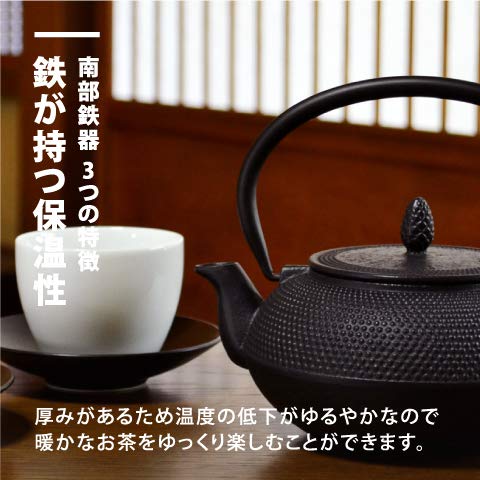 Ren Of Japan Nanbu Tekki Iron Bottle Teapot Arale Round Shape with Tea Strainer Enamel Finish Arare Small