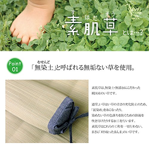 Ikehiko Corporation 裸皮草方枕 30X15Cm - 日本燈心草枕頭