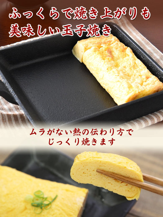 And Seiyu Factory's Japanese Nambu Ironware Tamagoyaki