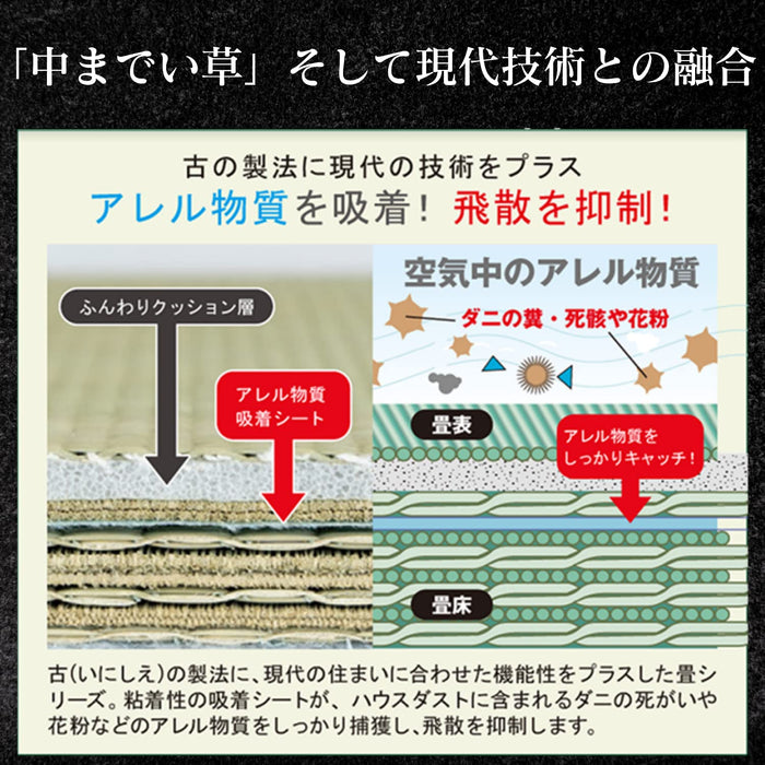 Ooshimaya 日本榻榻米井草墊 - 4 件組（82x82x2.5 公分）