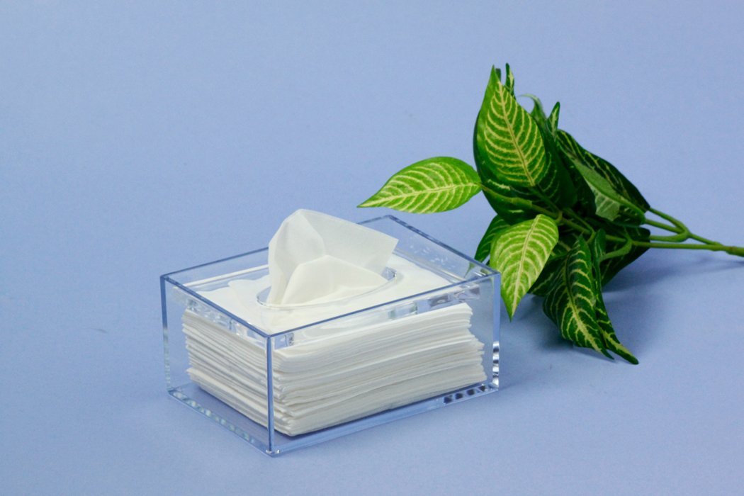 Japanese Butterfly Plastic Pocket Tissue Case 690977 - User-Friendly Solution