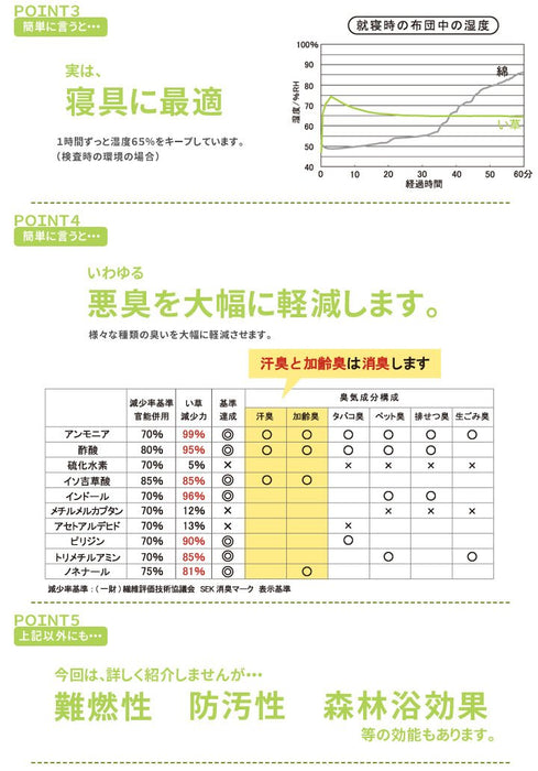 Ikehiko Corporation 日本諾亞地墊和枕頭套裝棕色 90X200 公分墊子和 40X20 公分枕頭