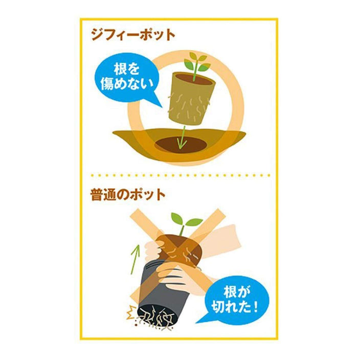 Sakata Seeds 生態盆栽可種植圓形 5.5 公分 x 40 片 - 日本製造